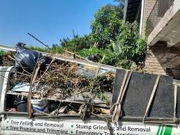 Best Appliance Removal  in Johnsburg, IL